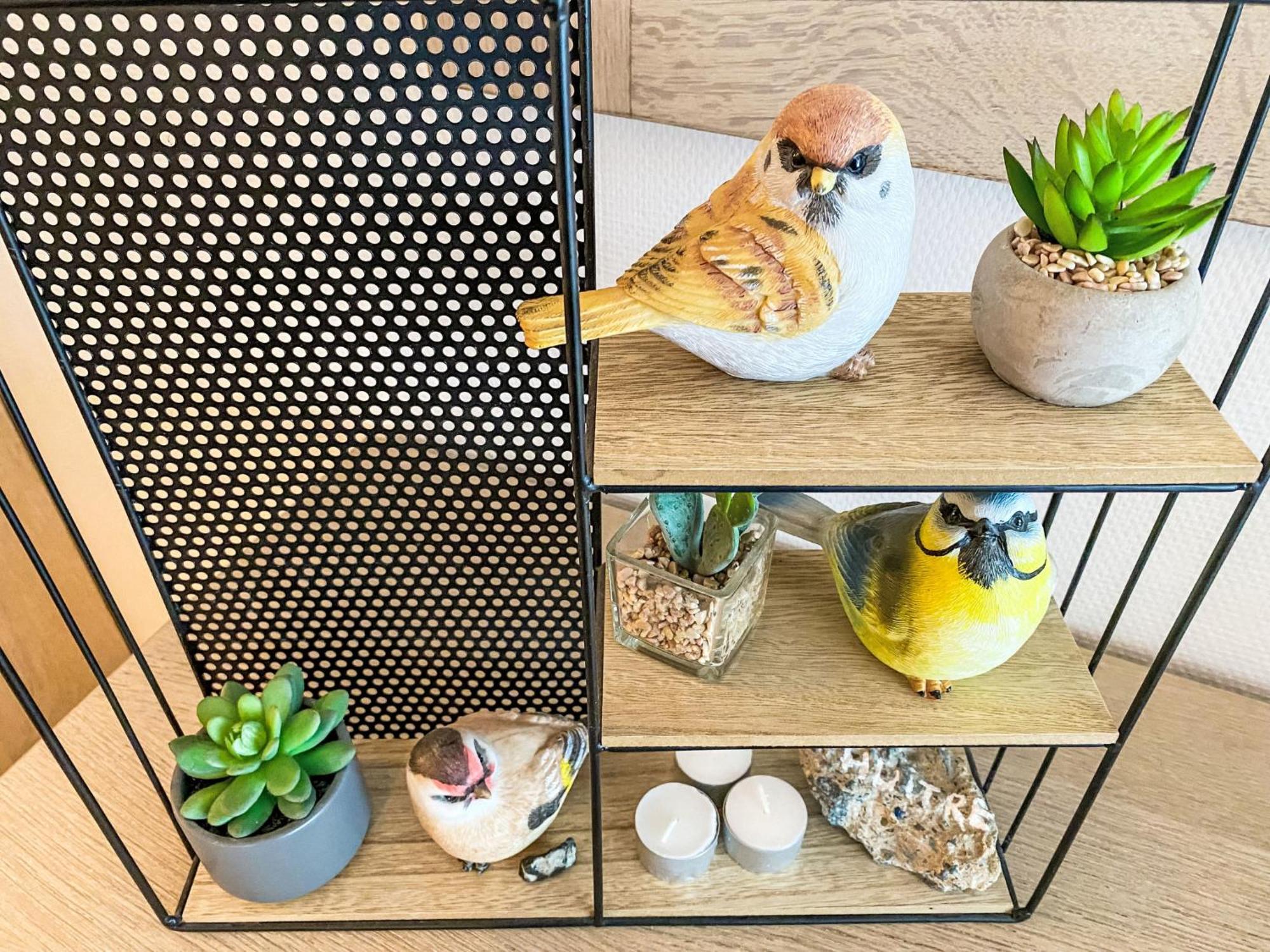 Apartment Residentie Astrid-7 By Interhome Bredene Ngoại thất bức ảnh